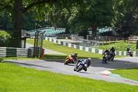 cadwell-no-limits-trackday;cadwell-park;cadwell-park-photographs;cadwell-trackday-photographs;enduro-digital-images;event-digital-images;eventdigitalimages;no-limits-trackdays;peter-wileman-photography;racing-digital-images;trackday-digital-images;trackday-photos